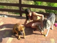 Teen animal sex with two dogs